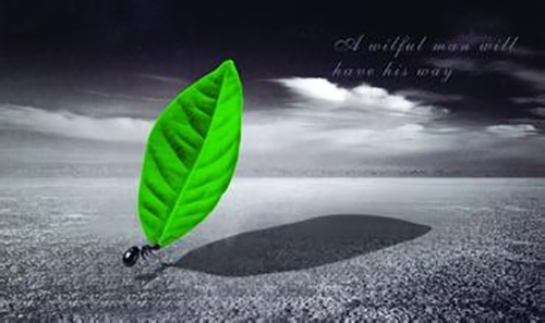 一位天使投資人的感悟：何謂創業精神